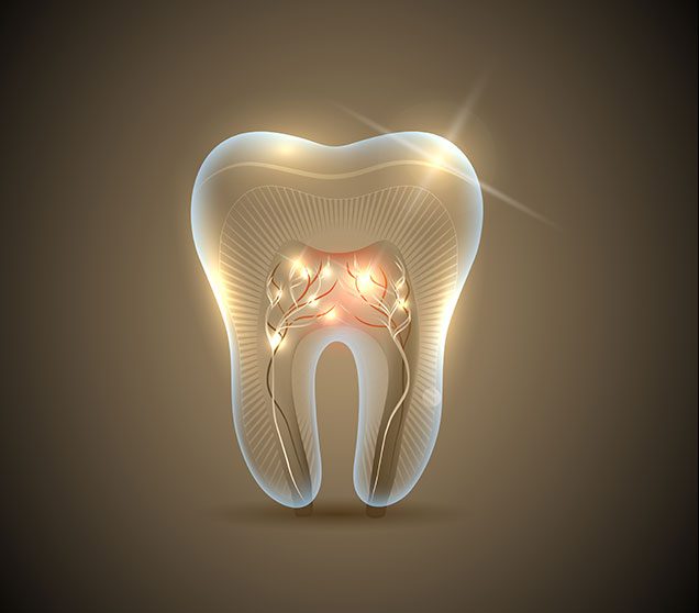 Root Canal Therapy Edmonton | Ellwood Dental | General and Family Dentist | SW Edmonton